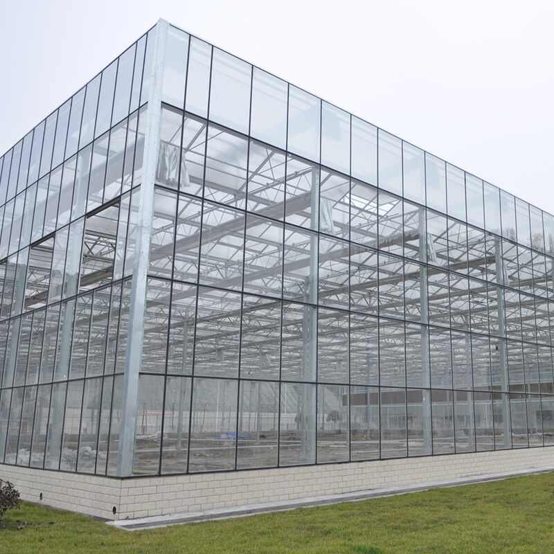 Venlo Type Landbouwglazen Kas Geharde Panelen Gegalvaniseerd Stalen Frame voor Komkommerteelt