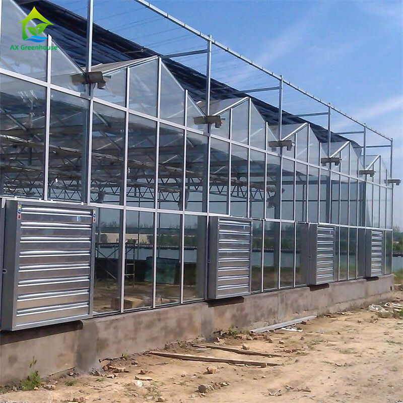 Apparatuur voor het kweken van groente-aardbeien in een duurzame glazen polycarbonaatkas - Alles-in-één kas-kit
