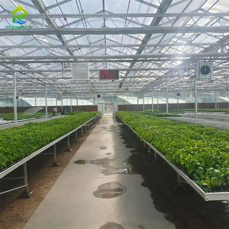 Intelligente gehard glas transparante groene kas Grote multi-span thermisch verzinkte stalen buis Landbouw glazen kassen voor planten- en bloementeelt