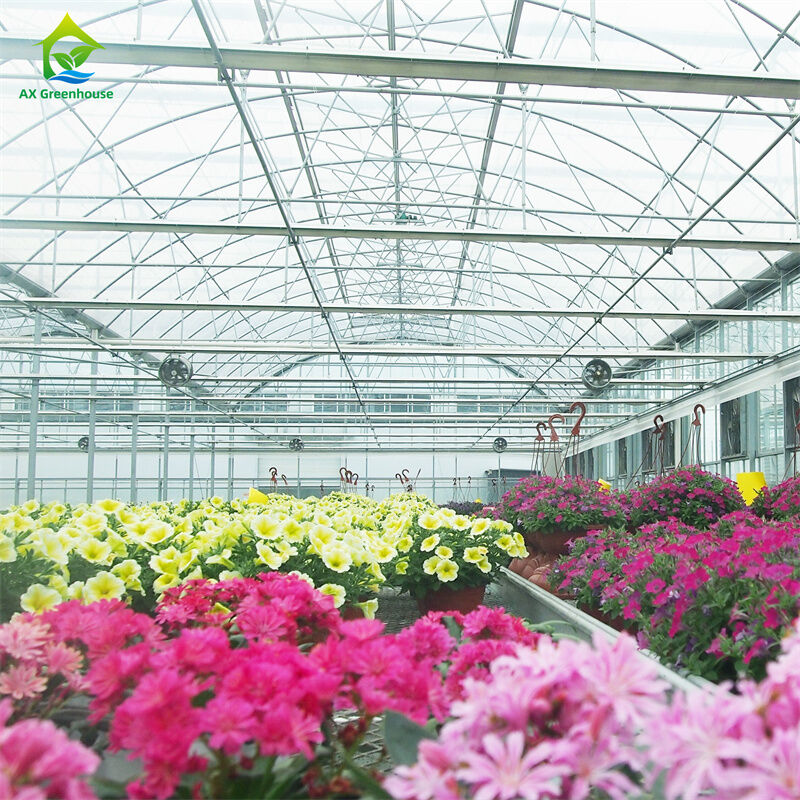 Intelligente gehard glas transparante groene kas Grote multi-span thermisch verzinkte stalen buis Landbouw glazen kassen voor planten- en bloementeelt