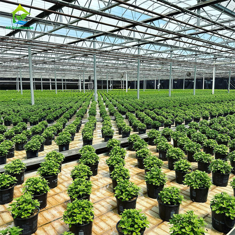 Intelligente gehard glas transparante groene kas Grote multi-span thermisch verzinkte stalen buis Landbouw glazen kassen voor planten- en bloementeelt