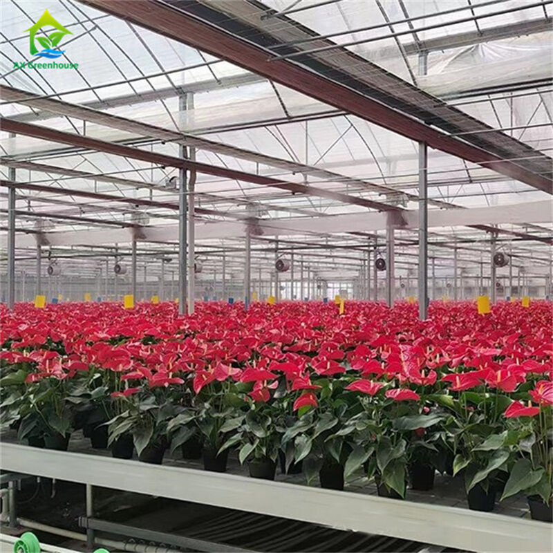 Intelligente gehard glas transparante groene kas Grote multi-span thermisch verzinkte stalen buis Landbouw glazen kassen voor planten- en bloementeelt
