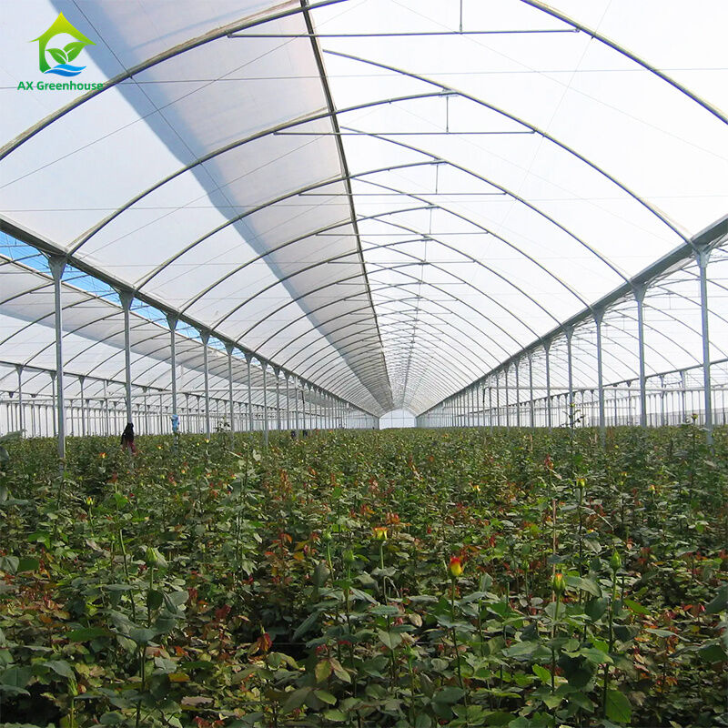 Grote meer-span filmkas voor het telen van bladgroenten, tomaten, komkommers, paprika's, aubergines, aardbeien, watermeloenen