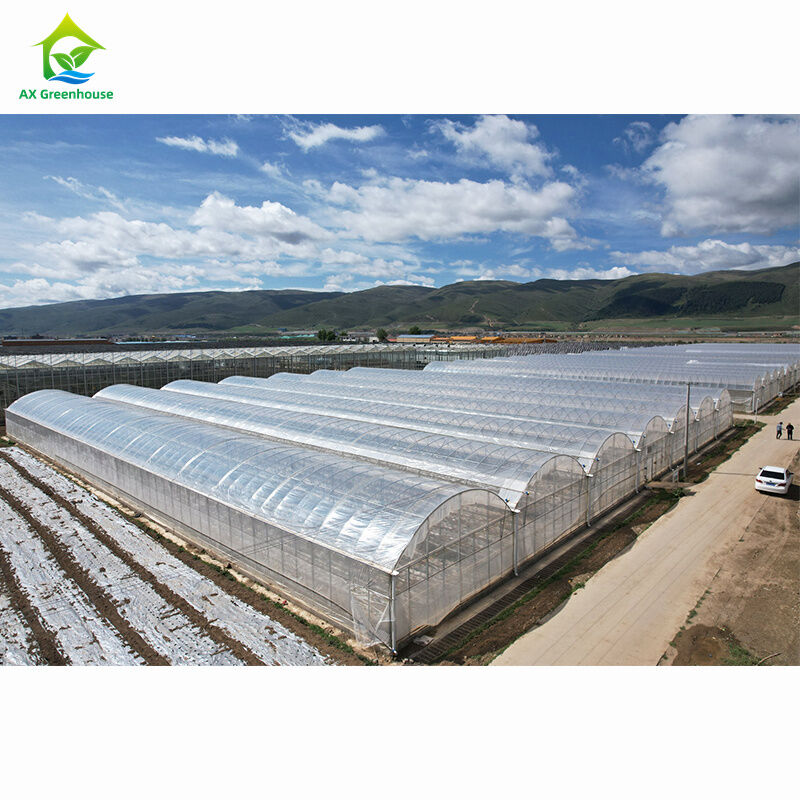 Grootschalige agrarische multi-span kassen. Professionele kassenfabriek voor massaproductie.