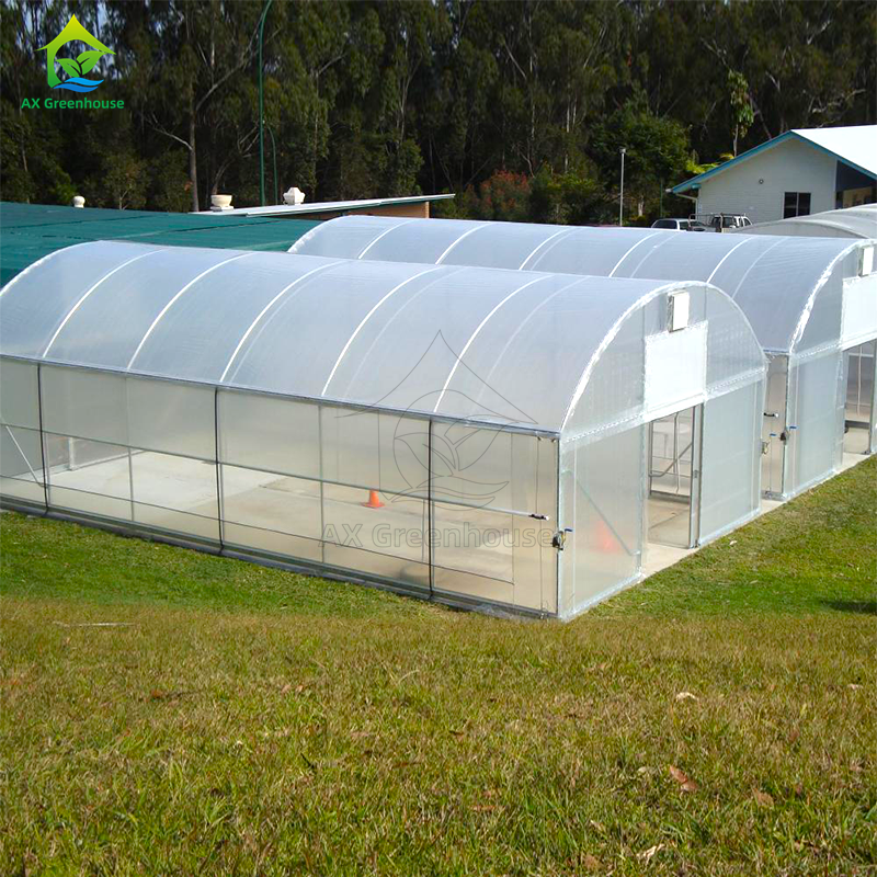 Warm gegalvaniseerd staal Anti UV 200 Micron Poly Film Single Span kas Makkelijk geassembleerd voor tomaten te kweken