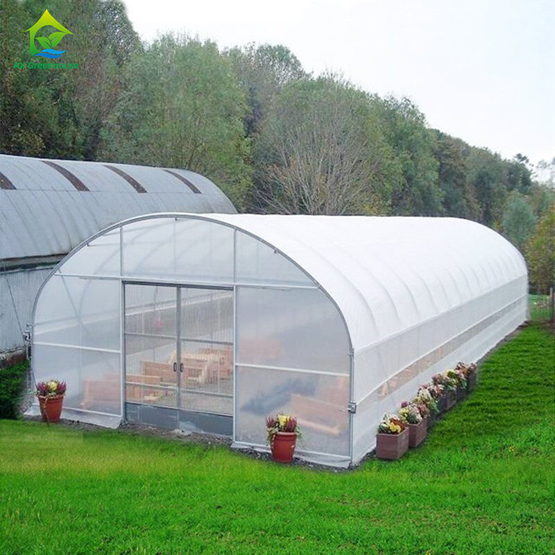 Goedkope landbouwgreenhouse commerciële kas Intelligente single-span kas voor tomatenplanting