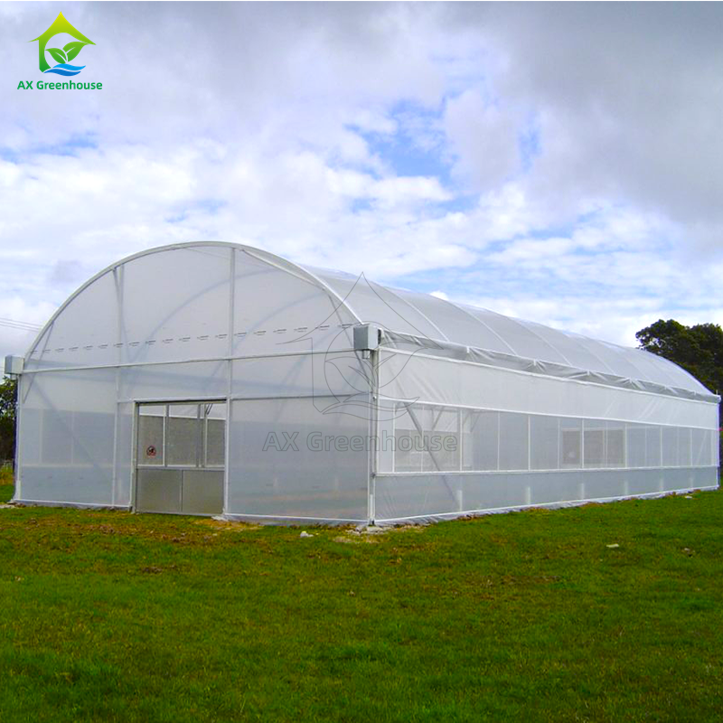 Goedkope landbouwgreenhouse commerciële kas Intelligente single-span kas voor tomatenplanting