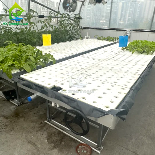 Ebb&Flow Roltafel Drijvend Bord DWC Diep Water Cultuur Kas Zonder Grond Groenten Teelt