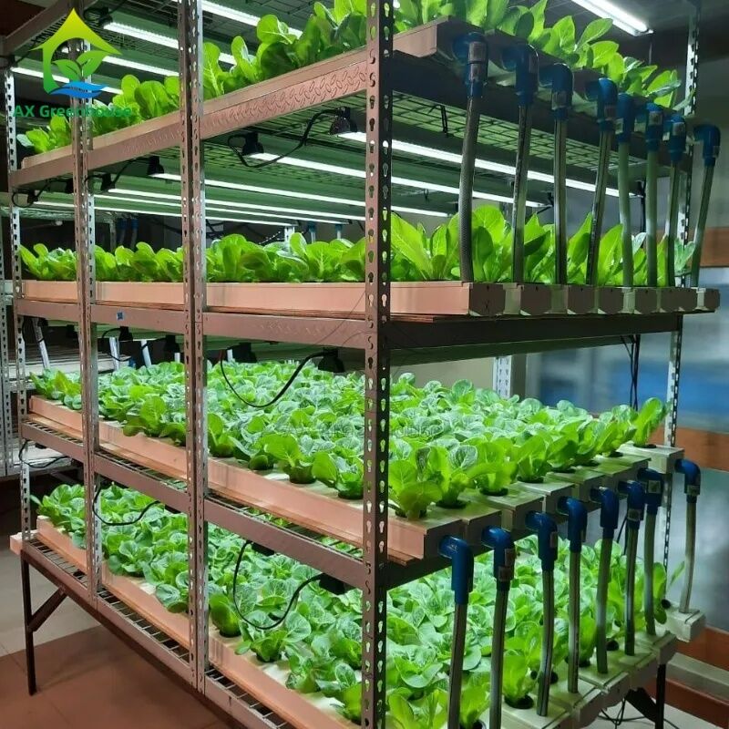 Geautomatiseerd meerlagig verticaal NFT-hydroponisch systeem met geïntegreerde LED-verlichting voor bodemloze teelt