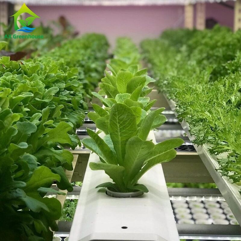 Geautomatiseerd meerlagig verticaal NFT-hydroponisch systeem met geïntegreerde LED-verlichting voor bodemloze teelt
