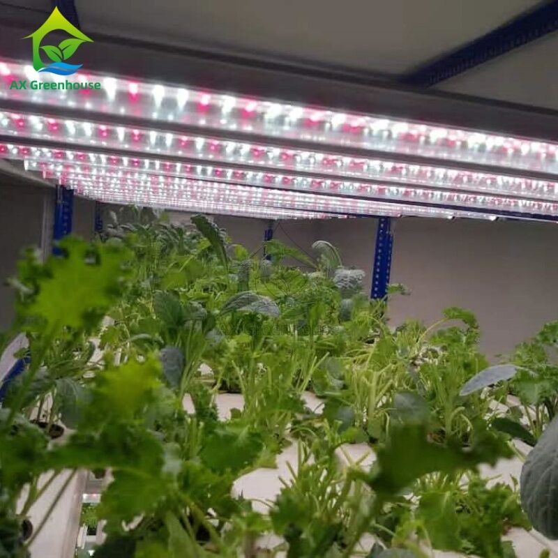 Geautomatiseerd meerlagig verticaal NFT-hydroponisch systeem met geïntegreerde LED-verlichting voor bodemloze teelt