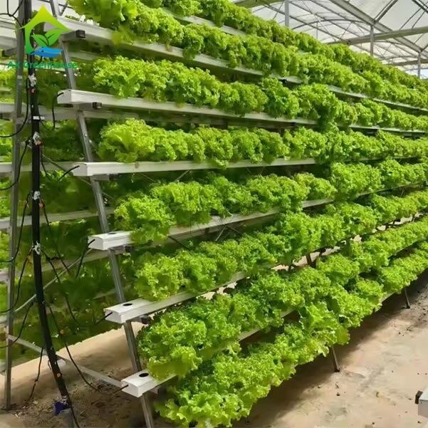 Groenhuis Grondloos Teelt Systeem A-frame Voedingsfilmtekniek NFT-kanaal Efficiënte groenten teelt