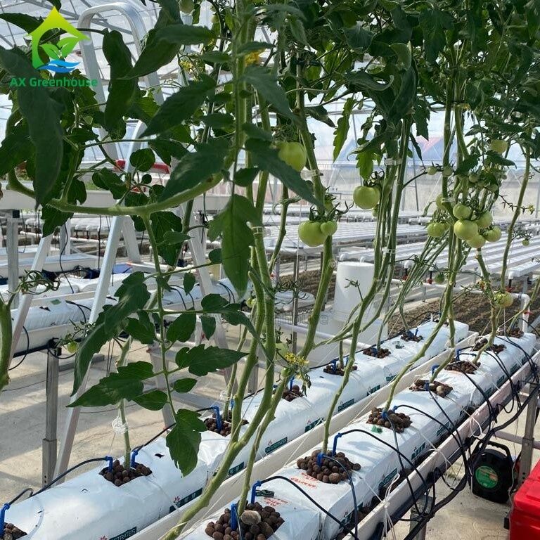 4M Double Row Horizontal Planting Trough Steel Frame Soilless Cultivation Set with Water tank and Water Pump