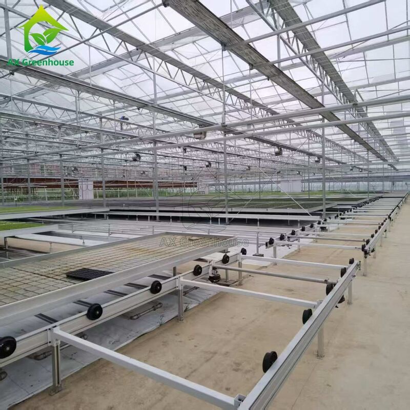 Op maat gemaakte, logistiek-gebaseerde, op rails gemonteerde, verstelbare eb- en vloedtafel zaailingbed voor de teelt van zaailingen in kassen