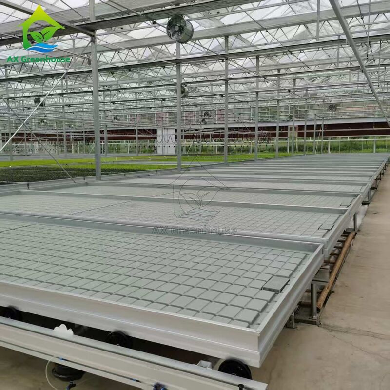 Op maat gemaakte, logistiek-gebaseerde, op rails gemonteerde, verstelbare eb- en vloedtafel zaailingbed voor de teelt van zaailingen in kassen