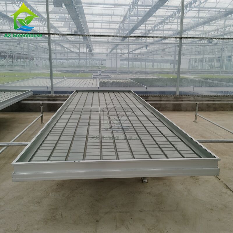 Op maat gemaakte, logistiek-gebaseerde, op rails gemonteerde, verstelbare eb- en vloedtafel zaailingbed voor de teelt van zaailingen in kassen