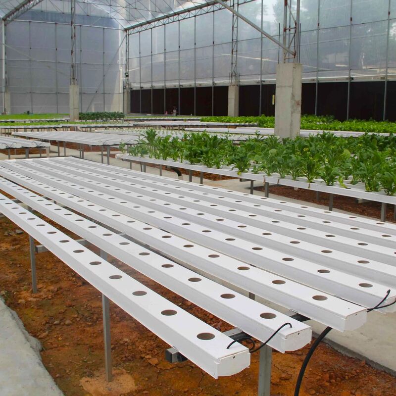 Voedingsmiddelen PVC NFT hydroponisch geulen systeem met UV-remmers en aanpasbare afmetingen voor commerciële kassen