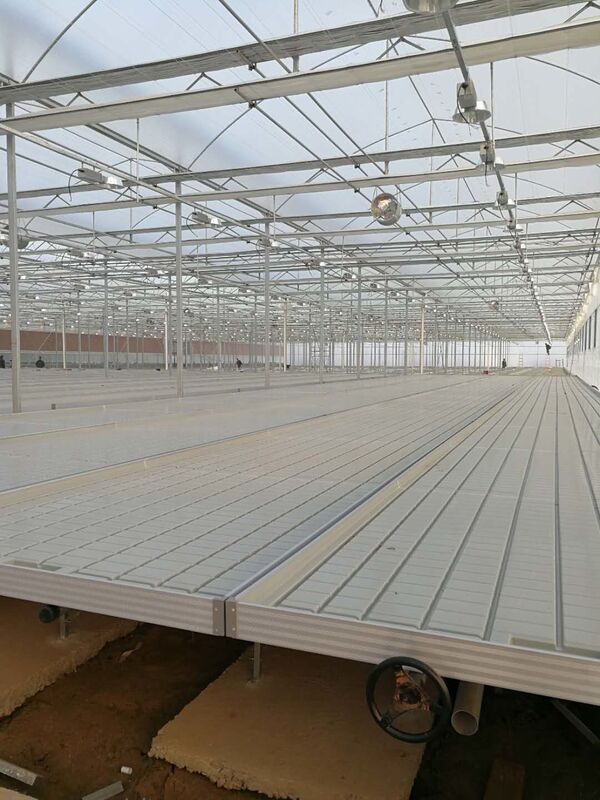 0.711.78m Breedteserre Rolling van de Bankeneb en Stroom Hydroponic Vloedlijst
