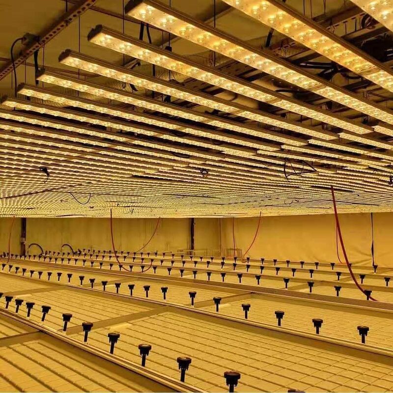 0.711.78m Breedteserre Rolling van de Bankeneb en Stroom Hydroponic Vloedlijst