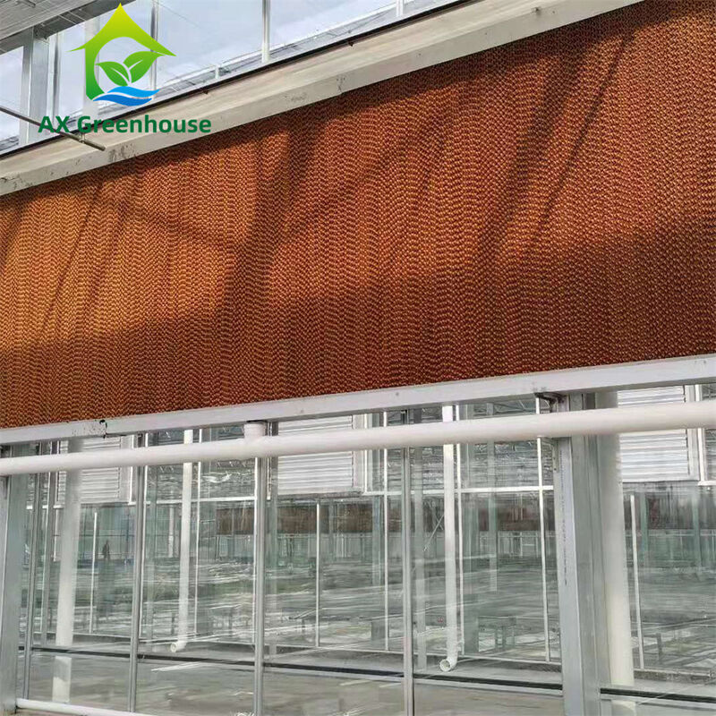 Commerciële multi-span Venlo-glaskas met warm gegalvaniseerd staalframe en driehoekige dakvorming