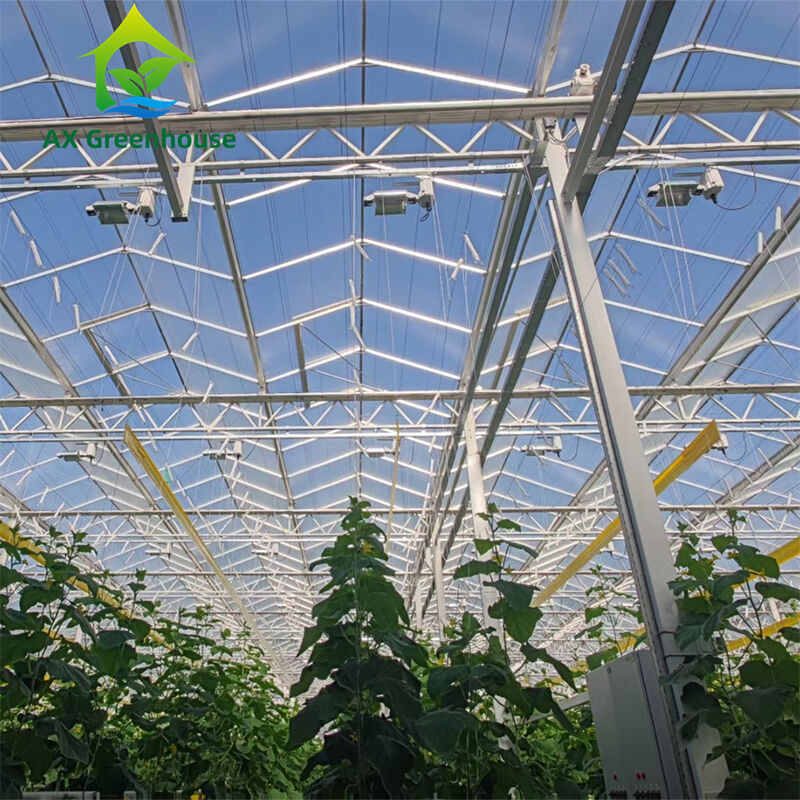 Commerciële multi-span Venlo-glaskas met warm gegalvaniseerd staalframe en driehoekige dakvorming