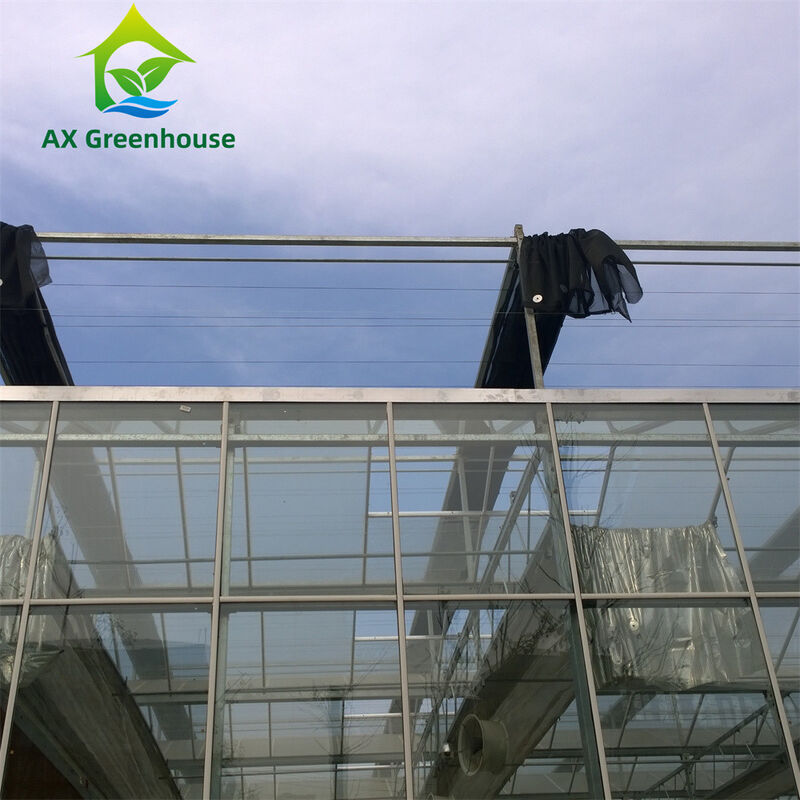 Commerciële multi-span Venlo-glaskas met warm gegalvaniseerd staalframe en driehoekige dakvorming