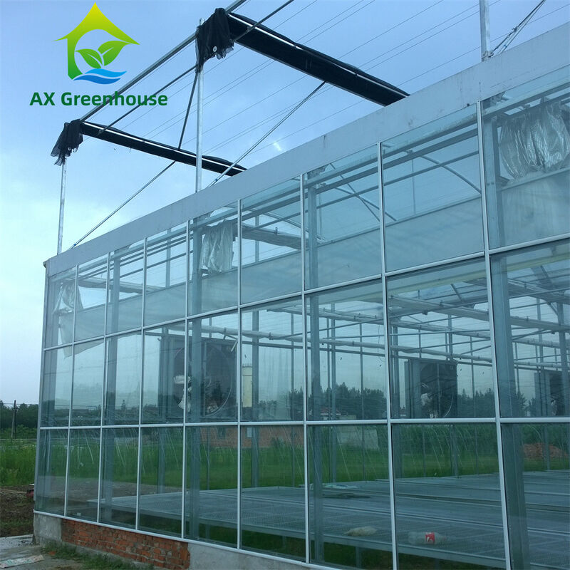 Commerciële multi-span Venlo-glaskas met warm gegalvaniseerd staalframe en driehoekige dakvorming