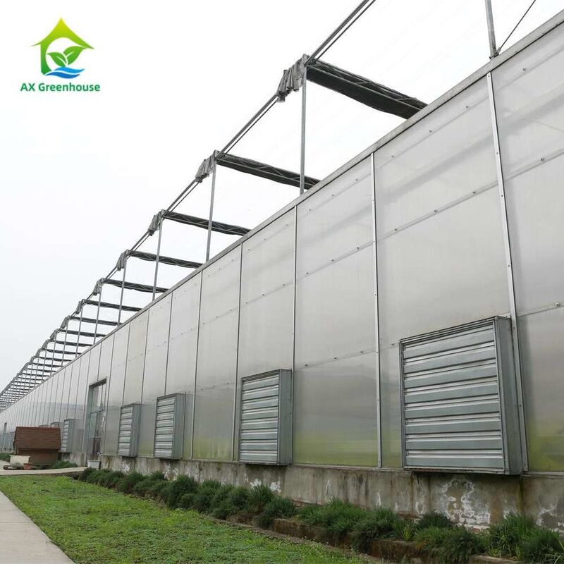 Plantenteelt Groentehuis met een enkele span polycarbonaat PC-plaat met een stabiele structuur en eenvoudige montage