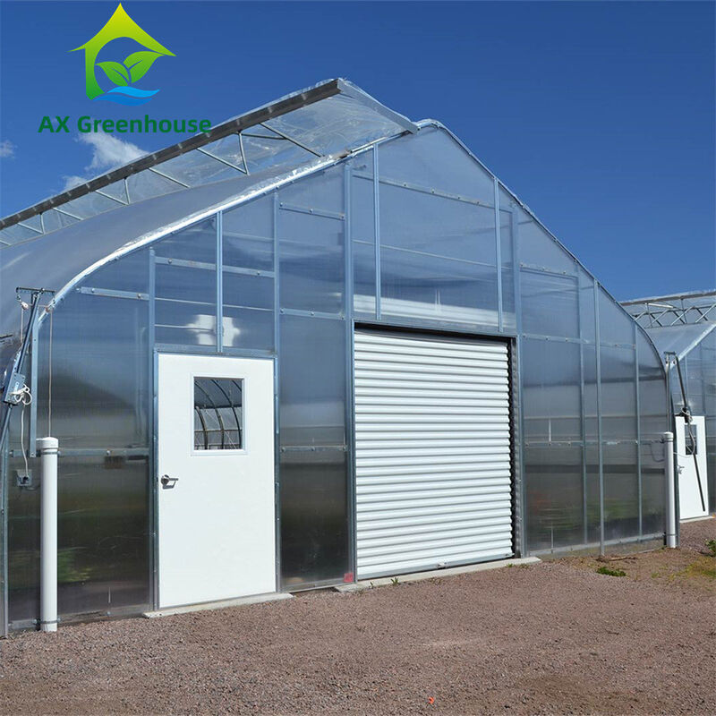 Veelzijdige Enkele Spant Multiwall Polycarbonaat Kas Ideaal voor Groenten Zaailingen Bloemen Achtertuin Landbouw