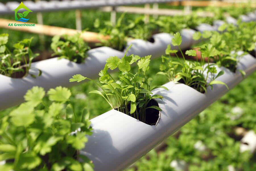 Groundless Indoor Farming Strawberry Growing PVC Tube For Hydroponics NFT Systeem te koop