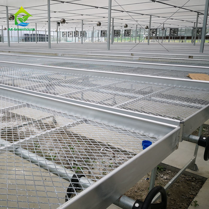 Landbouw Commerciële Indoor Mesh Draad Kas Groei Tafel Rollende Bank Voor Zaden