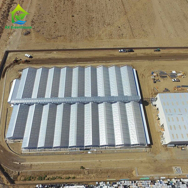 Geautomatiseerde commerciële verlichtingsvrije kas met interne verduistering 32m-50m Lengte en 8m-12.6m Span Breedte